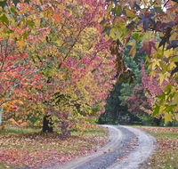 Rustic Spirit - Accommodation Main Beach