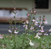 Serendipity on Allyn - Accommodation Main Beach
