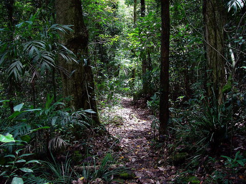 Springbrook Lyrebird Retreat - Accommodation Main Beach 0