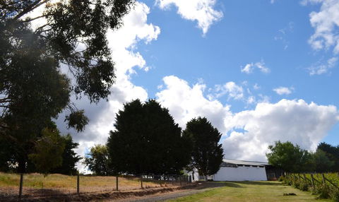 Springhill Winery - Accommodation Main Beach 2