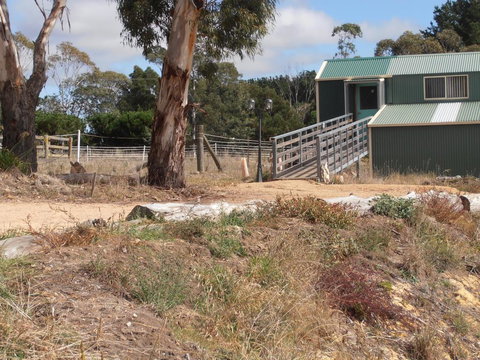 Springmead Rustic Cabin - Accommodation Main Beach 1