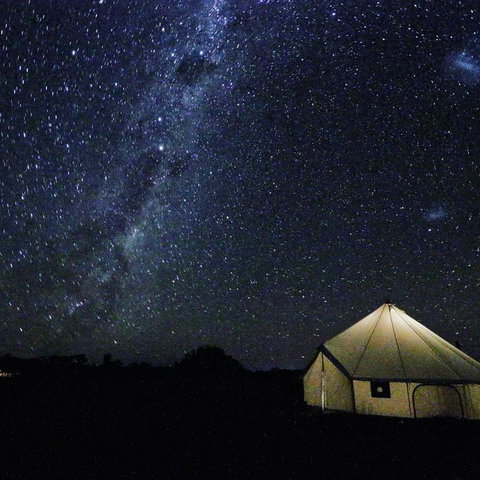 Starfields Luxury Camping - Accommodation Main Beach 3