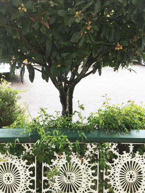 Strahan Wilderness Lodge - Accommodation Main Beach 3