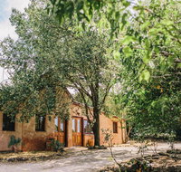 Terroir Auburn