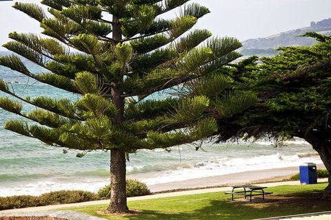 Penguin Beachfront Apartments - Accommodation Main Beach 9