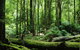 Corinna Wilderness Village - thumb 37