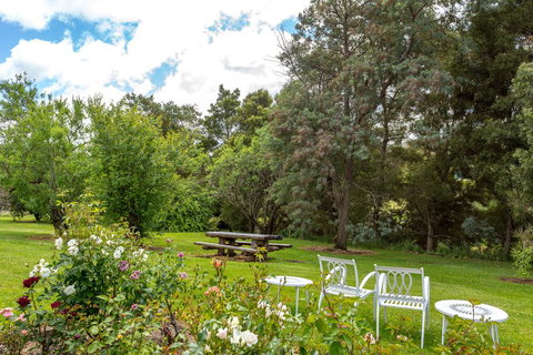 Cambridge House Bed & Breakfast - Accommodation Main Beach 21