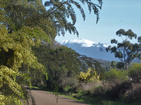 Southern Forest Accommodation - Accommodation Main Beach 24