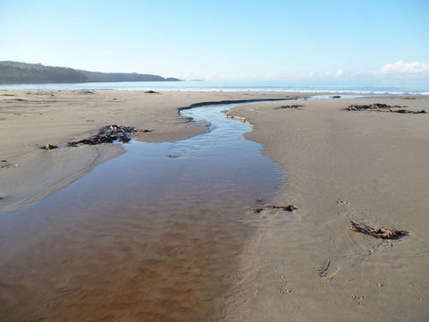 Southern Forest Accommodation - Accommodation Main Beach 28