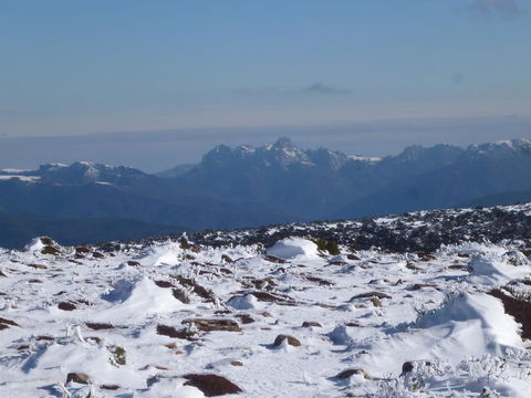 Southern Forest Accommodation - Accommodation Main Beach 29