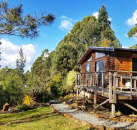 Southern Forest Accommodation - Accommodation Main Beach