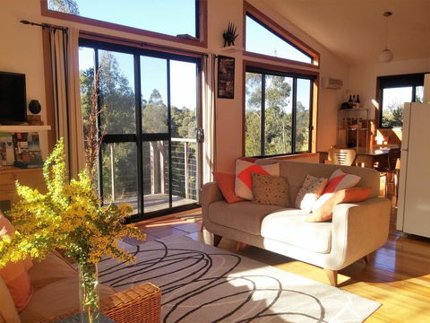 Southern Forest Accommodation - Accommodation Main Beach 3