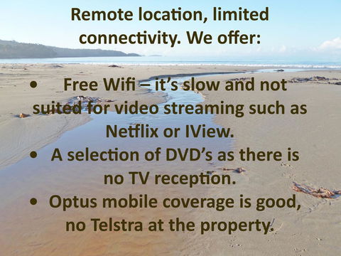 Southern Forest Accommodation - Accommodation Main Beach 13