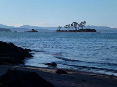 Southern Forest Accommodation - Accommodation Main Beach 26