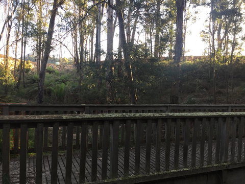 Harlea - Accommodation Main Beach 13