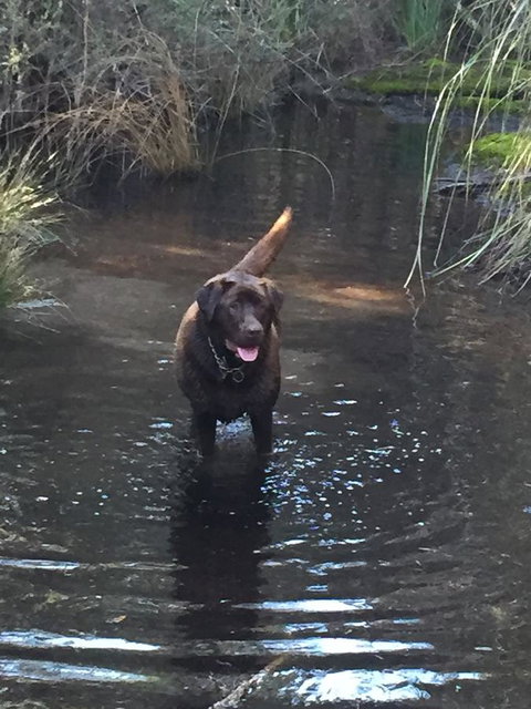 Harlea - Accommodation Main Beach 27