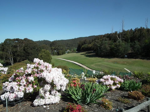 Harlea - Accommodation Main Beach 16