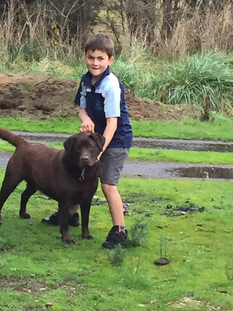 Harlea - Accommodation Main Beach 24