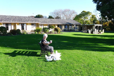 Willaway Motel Apartments - Accommodation Main Beach 10