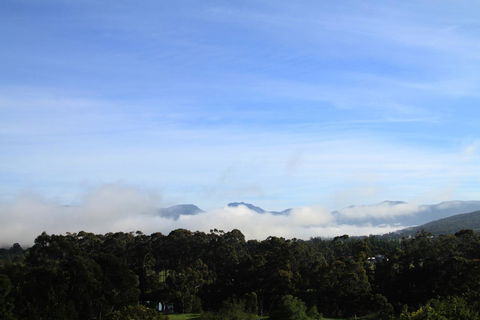 BIG.SHED.HOUSE - Accommodation Main Beach 11