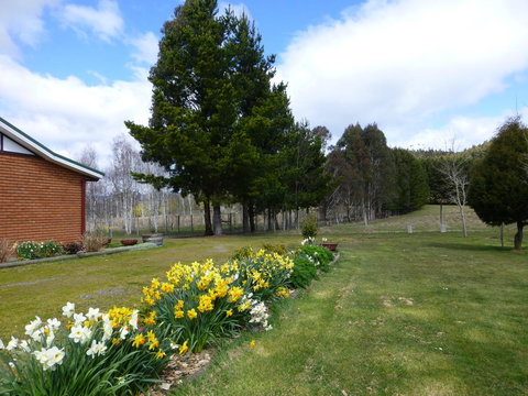 Quamby Pines Chalet - Accommodation Main Beach 23