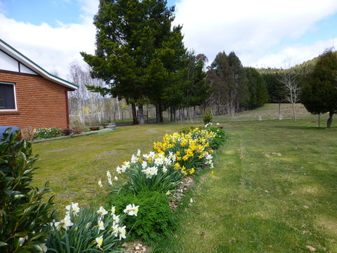 Quamby Pines Chalet - Accommodation Main Beach 19