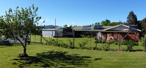 Quamby Pines Chalet - Accommodation Main Beach 1