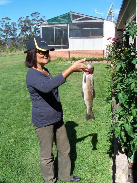 Quamby Pines Chalet - Accommodation Main Beach 15