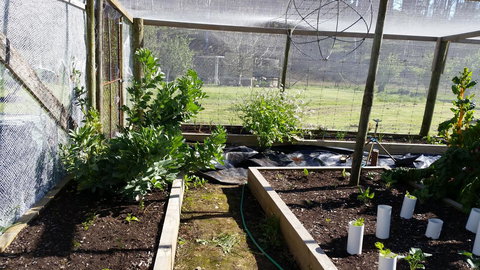 Quamby Pines Chalet - Accommodation Main Beach 17