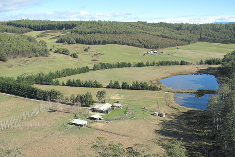 Quamby Pines Chalet - Accommodation Main Beach 7