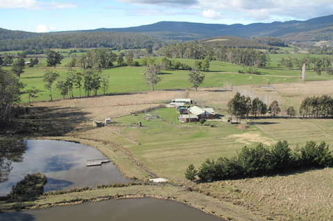 Quamby Pines Chalet - Accommodation Main Beach 9