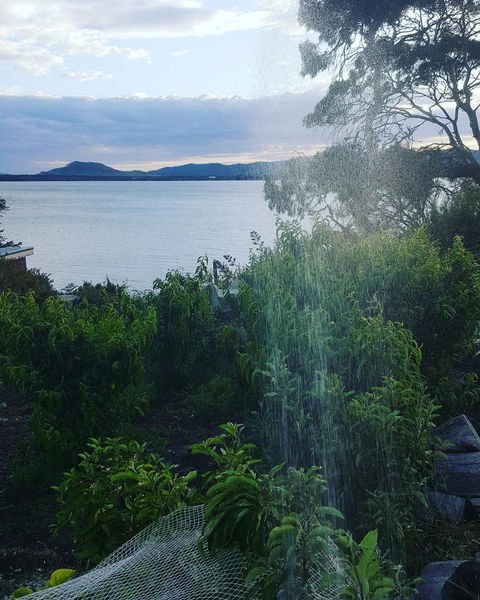 AppleBay Guest House - Accommodation Main Beach 31