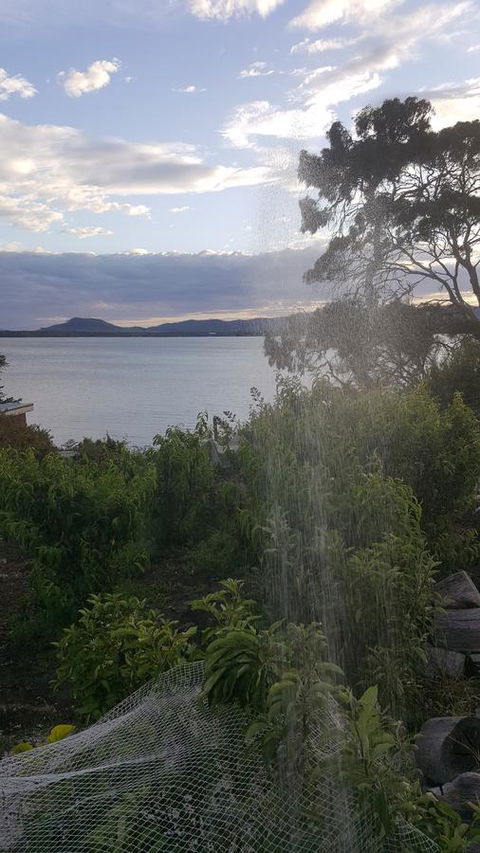 AppleBay Guest House - Accommodation Main Beach 22