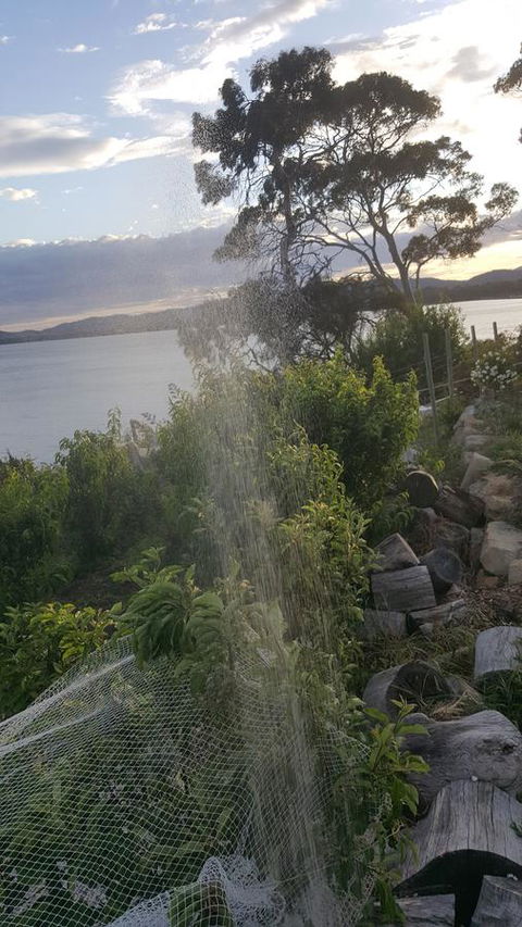 AppleBay Guest House - Accommodation Main Beach 21