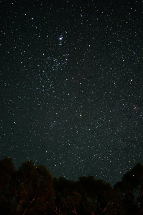Naivasha Cottage - Accommodation Main Beach 14