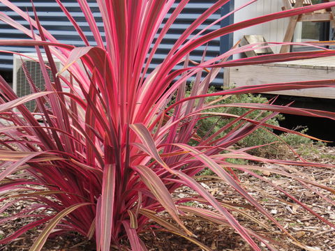 Captain Cook Holiday Park - Accommodation Main Beach 15