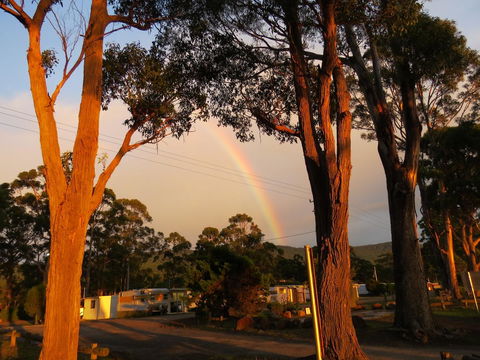 Captain Cook Holiday Park - Accommodation Main Beach 12