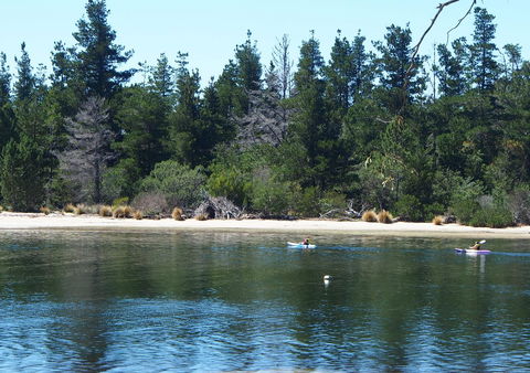 Orford Blue Waters Hotel - Accommodation Main Beach 42
