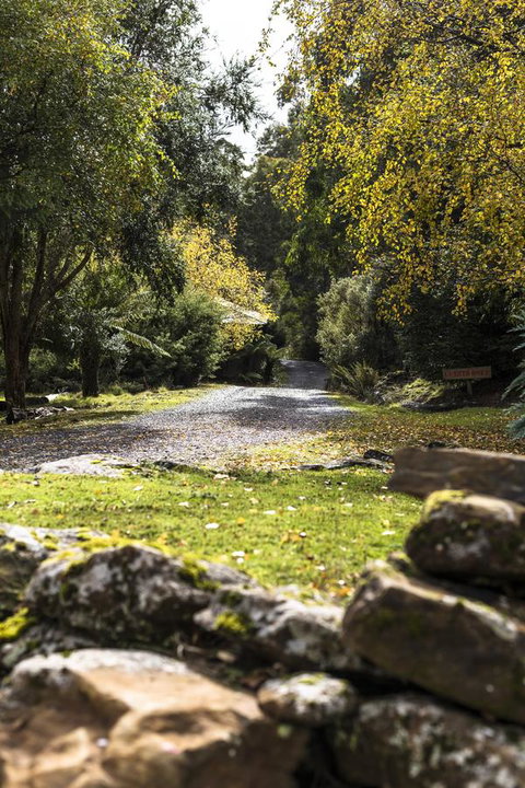 Cradle Forest Inn - Accommodation Main Beach 34