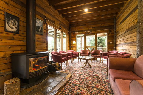 Cradle Forest Inn - Accommodation Main Beach 1