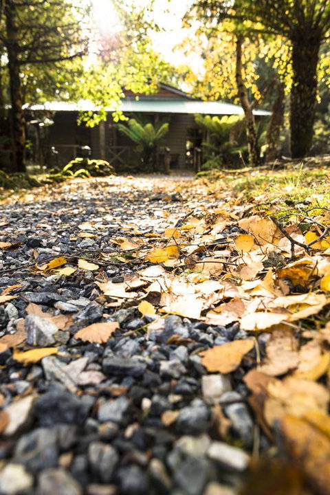 Cradle Forest Inn - Accommodation Main Beach 35