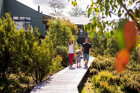 Cradle Mountain Hotel - Accommodation Main Beach 23