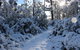 Cradle Mountain Hotel - thumb 4