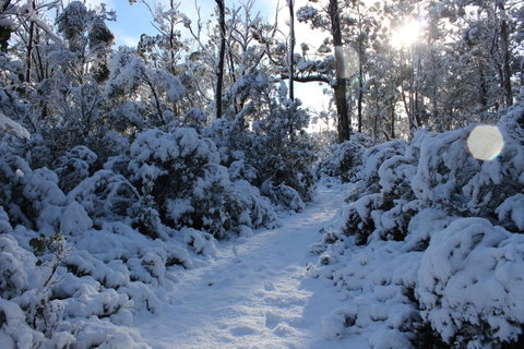 Cradle Mountain Hotel - Accommodation Main Beach 4