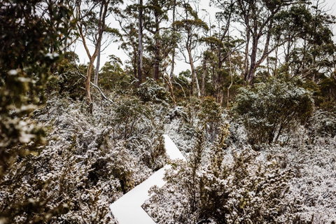 Cradle Mountain Hotel - Accommodation Main Beach 6