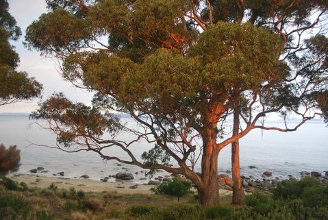 Beachside Taroona With Spa - Accommodation Main Beach 18