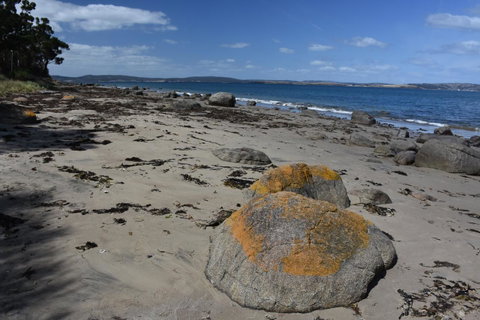 Beachside Taroona With Spa - Accommodation Main Beach 30