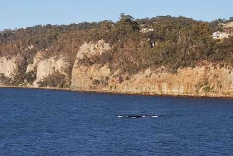 Beachside Taroona With Spa - Accommodation Main Beach 29