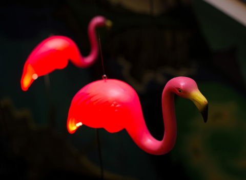 Alabama Hotel Hobart - Accommodation Main Beach 42