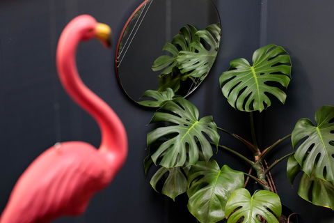 Alabama Hotel Hobart - Accommodation Main Beach 15